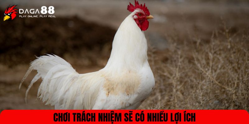 Chơi trách nhiệm sẽ có nhiều lợi ích