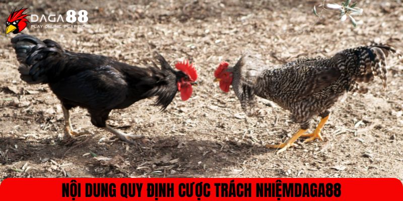 Nội dung quy định cược trách nhiệm Daga88