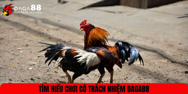 Tìm hiểu chơi có trách nhiệm Daga88