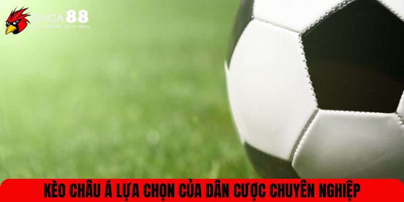 Kèo châu Á lựa chọn của dân cược chuyên nghiệp