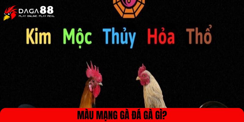 Màu mạng gà đá gà gì?