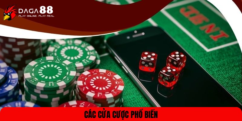 Những cửa cược khi tham gia Tài Xỉu